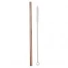 Santa Barbara Design Studio By Creative Brands Rose Gold Straw & Cleaning Brush Table Top & Servingware