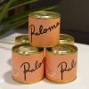 Rewined Paloma Candle 7oz New Arrivals 1 Rewined Paloma Candle 7oz New Arrivals