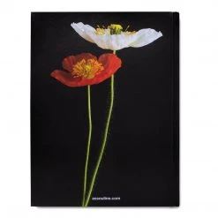 Assouline Flowers: Art & Bouquets Coffee Table Book