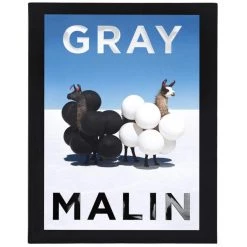 Abrams Accessories Gray Malin: The Essential Collection