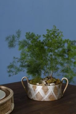 Accent Decor New Arrivals Brush Stroke Terracotta Bowl With Handles