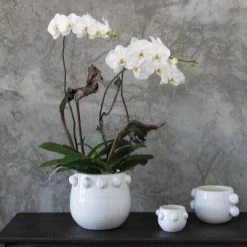 Accent Decor Fem Rosa Pot