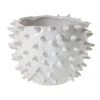 The Nue Look | At Home Medium Cacti Pot Accessories