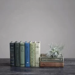 Creativeco-op Mini Book Storage Boxes