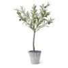 K & K Interiors New Arrivals 24" Olive Tree With Gray Wash Pot
