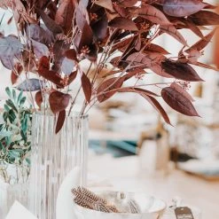 Napa Home & Garden Eucalyptus Seed Branch 36.5" Home Decor