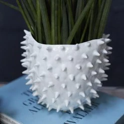 Accent Decor Home Decor Large Cacti Pot