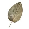 MadeTerra Home Decor Large Round Dried Palm Leaf