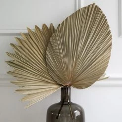 MadeTerra Large Star Dried Palm Leaf