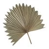 MadeTerra Large Star Dried Palm Leaf