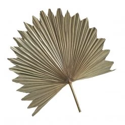MadeTerra Large Star Dried Palm Leaf