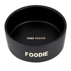 Santa Barbara Design Studio By Creative Brands New Arrivals Foodie Ceramic Pet Food Bowl