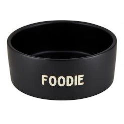 Santa Barbara Design Studio By Creative Brands New Arrivals Foodie Ceramic Pet Food Bowl