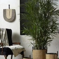 Accent Decor Black & Natural Woven Fan